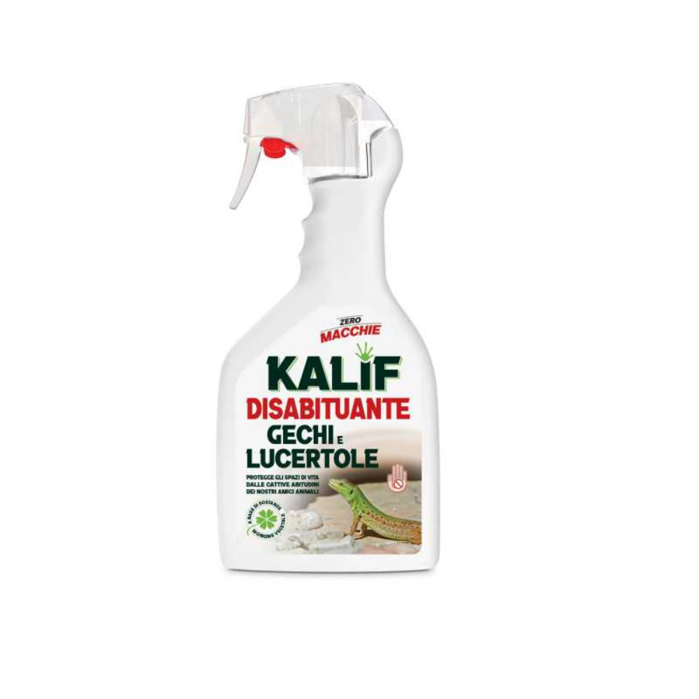 Adama Kalif Disabituante Gechi e Lucertole