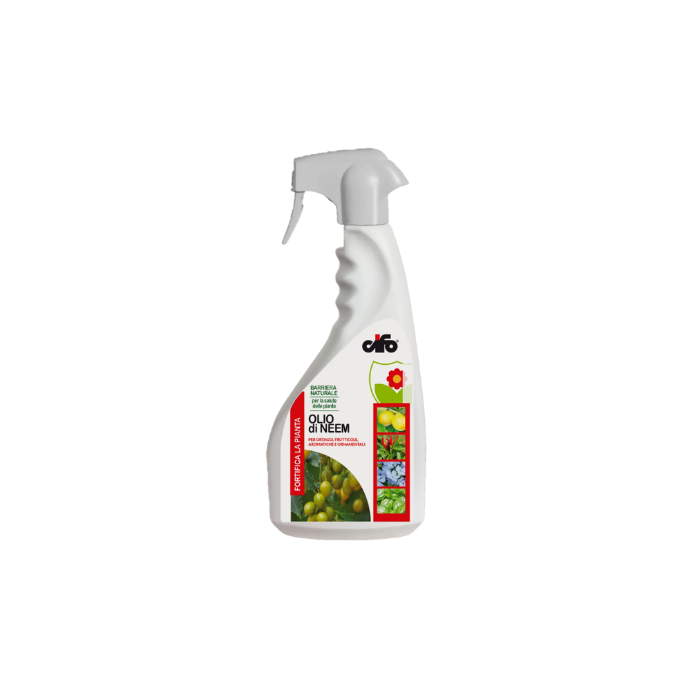 Cifo Olio di Neem Bio – Protezione e rinforzo naturale per piante